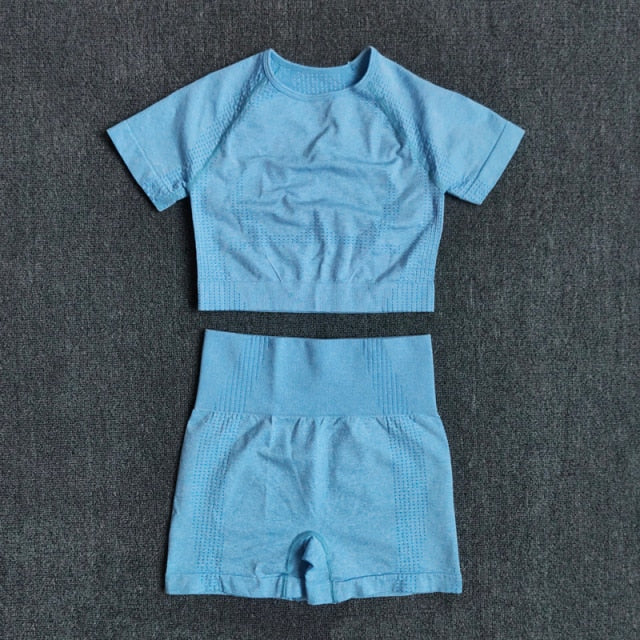 Seamless Crop Top and Shorts Set