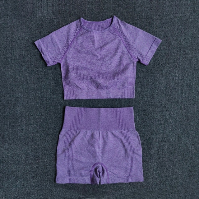 Seamless Crop Top and Shorts Set